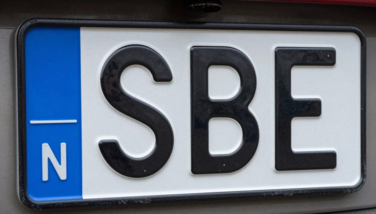 Rejestracja SBE