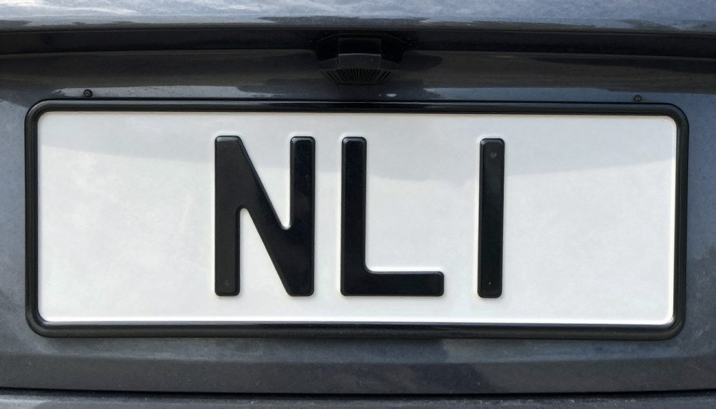 Tablica rejestracyjna z oznaczeniem NLI na tle krajobrazu powiatu lidzbarskiego Tablica rejestracyjna z oznaczeniem NLI na tle krajobrazu powiatu lidzbarskiego